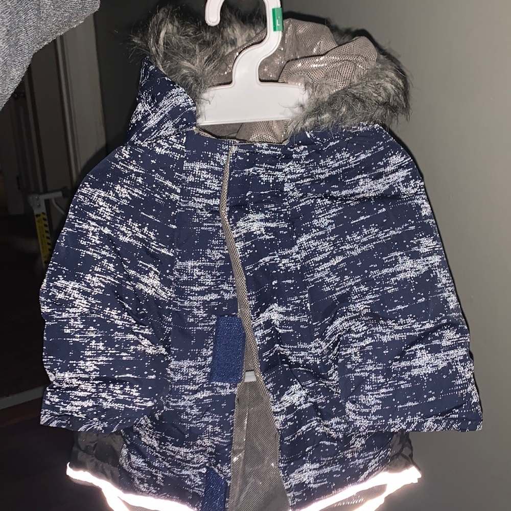 Dog winter coat